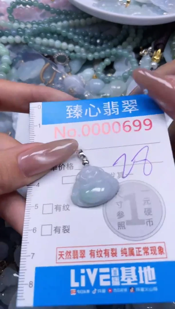 颈饰未镶嵌翡翠699