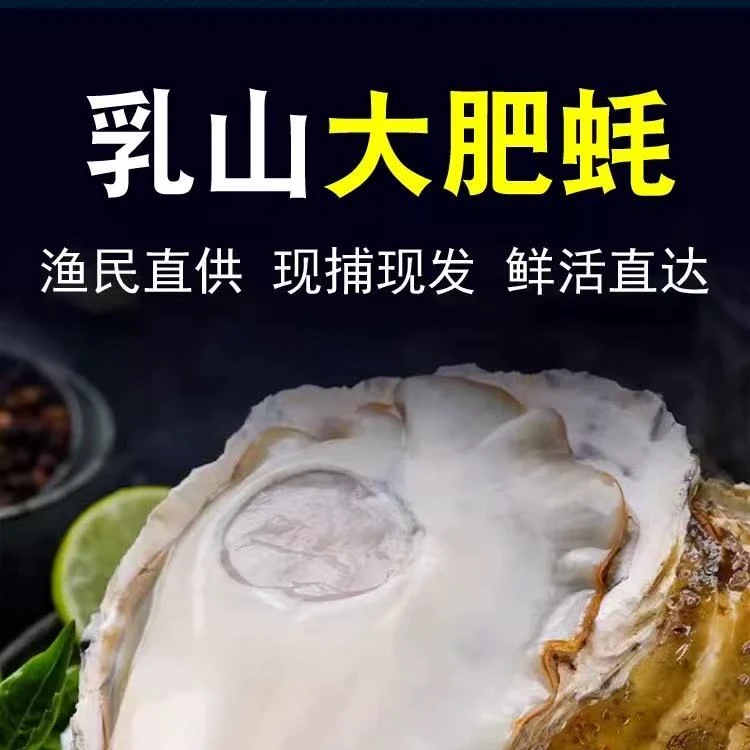 新鲜正宗乳山生蚝海蛎子鲜嫩脆爽产地直发 5 斤