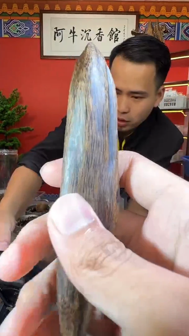 沉香吊坠176号尖峰岭多样性发一