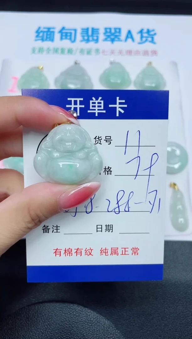翡翠未镶嵌吊坠(赠链)11