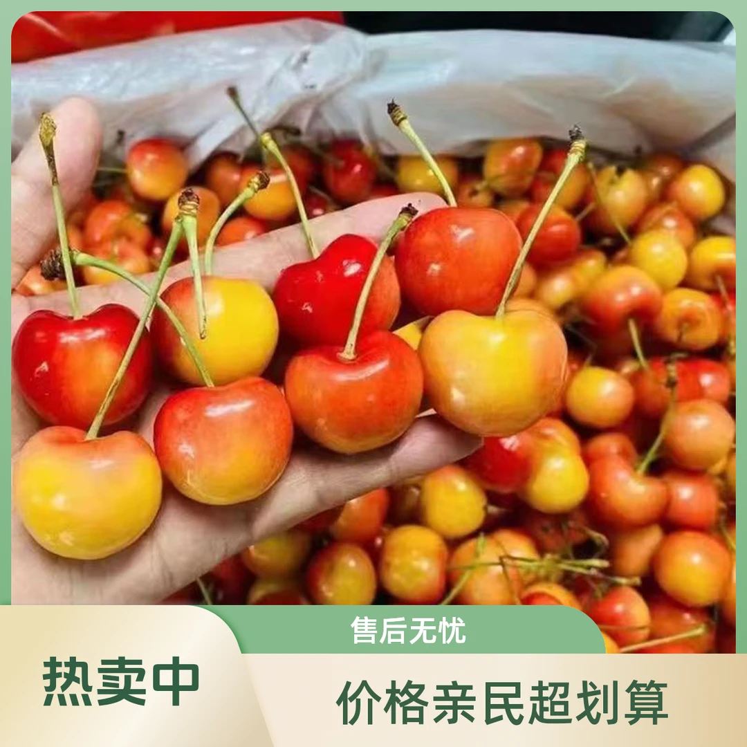 【智利空运雷尼尔】黄金车厘子雷尼尔原箱5JD 2500克车厘子 雷尼尔雷尼尔智利