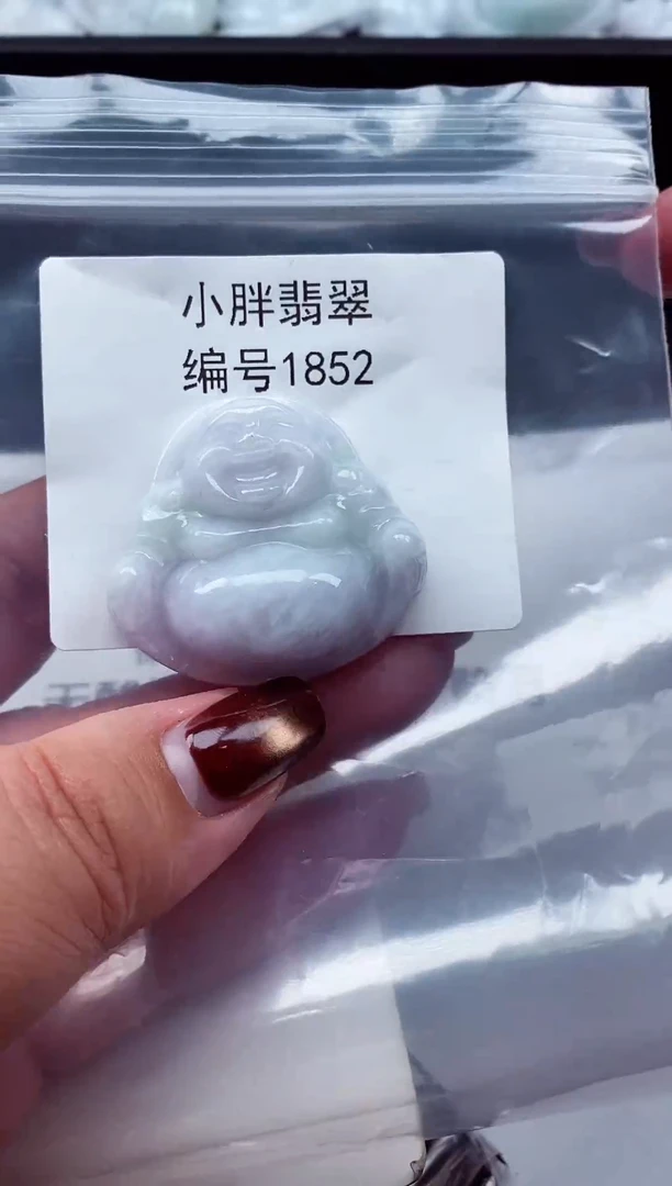 颈饰未镶嵌翡翠缅甸天然A货翡翠1852