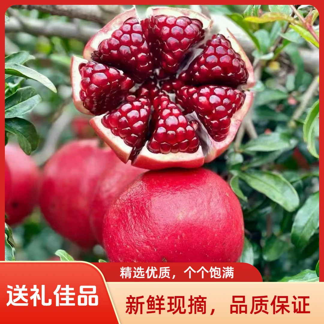 【七夕送礼】天使红超软籽石榴稀有高贵品种 超大果送女友 送礼