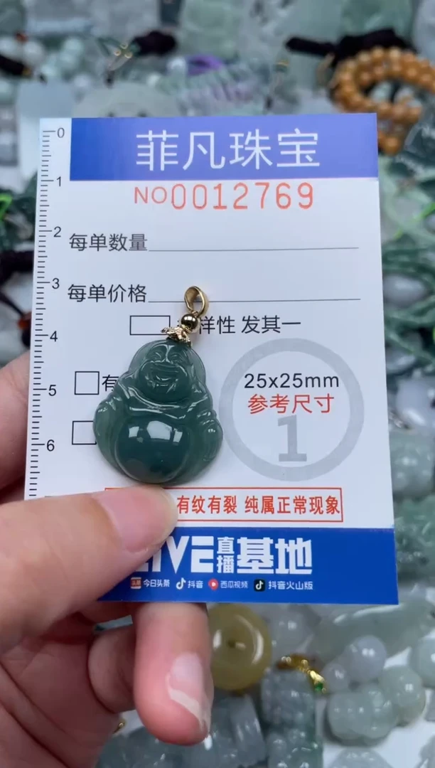 颈饰未镶嵌翡翠12769