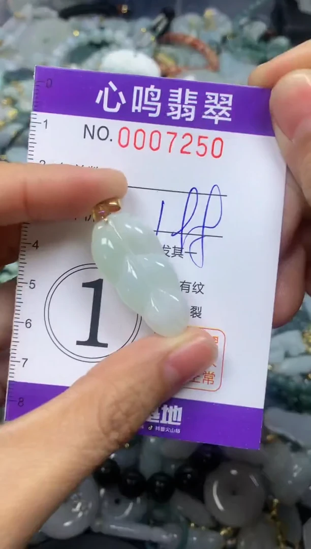 【闪购商品】翡翠颈饰未镶嵌闪购007250
