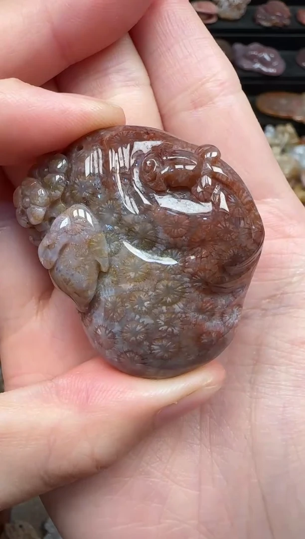 颈饰未镶嵌硅化珊瑚（珊瑚玉）361