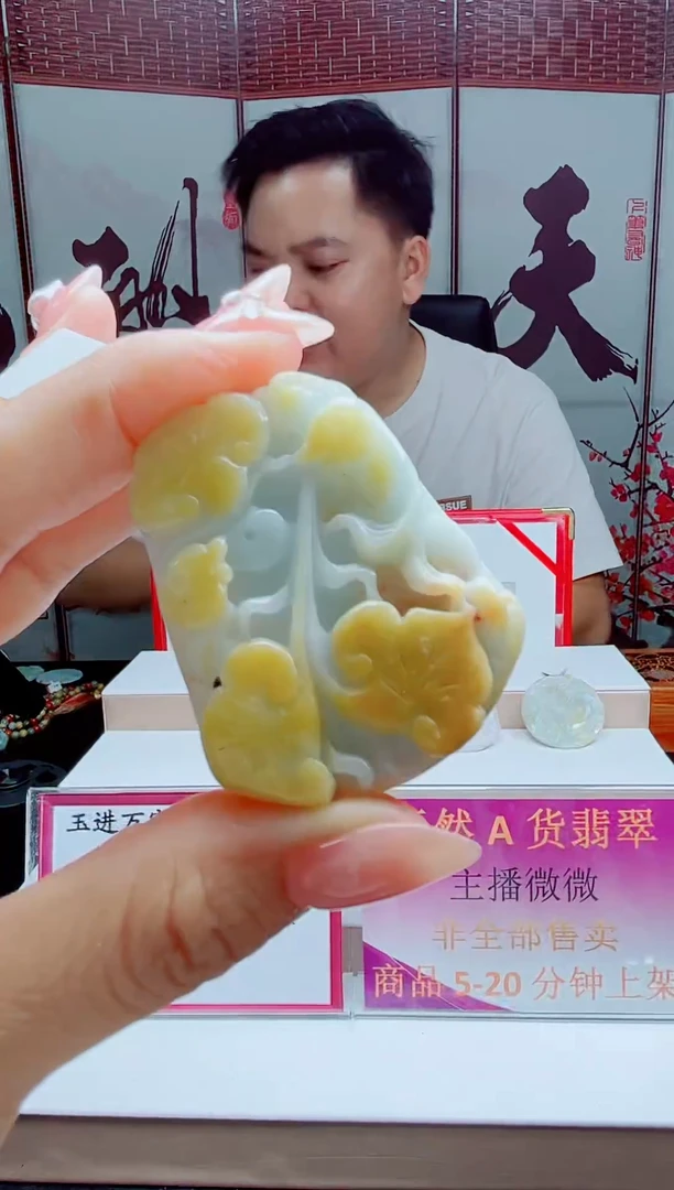 翡翠未镶嵌颈饰88888888
