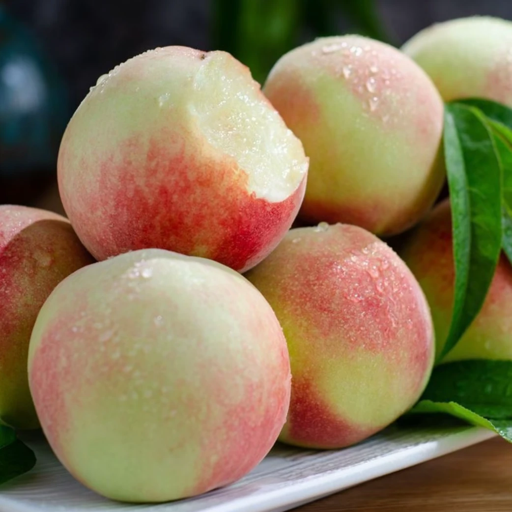 中华脆蜜桃 新鲜采摘枝头果 山西运城
