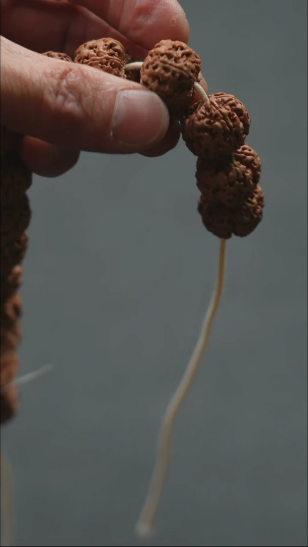 金刚菩提手串龙江推荐原生态私人订制07号21