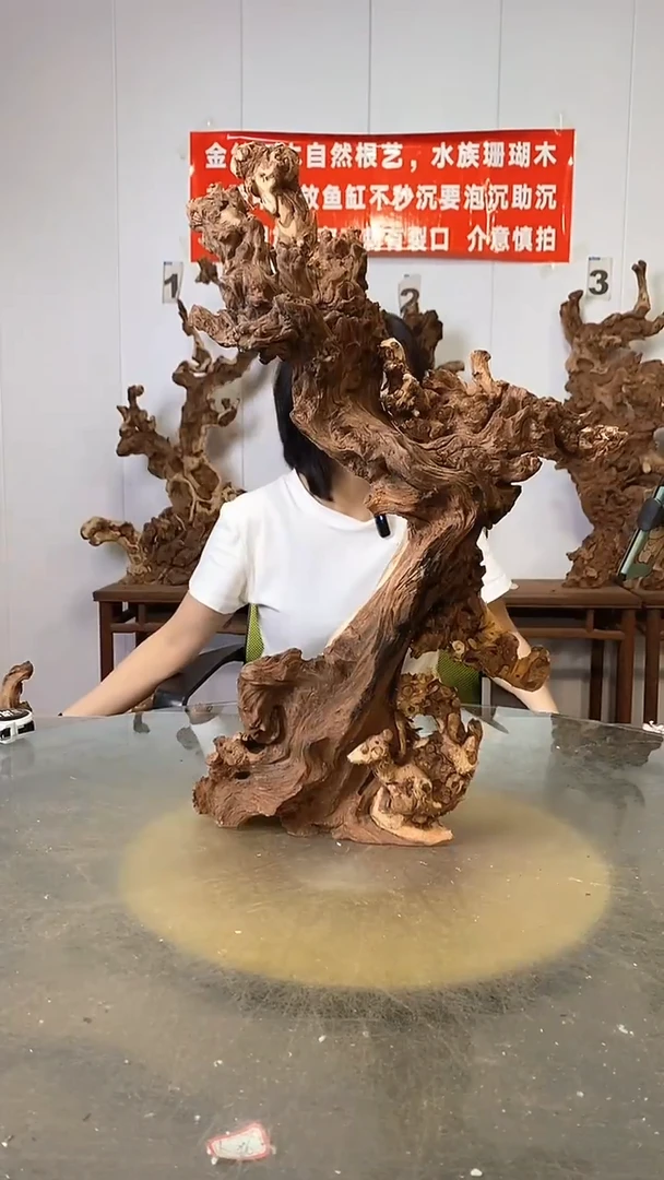 香榧木娜**雪金丝红木   羊蹄甲