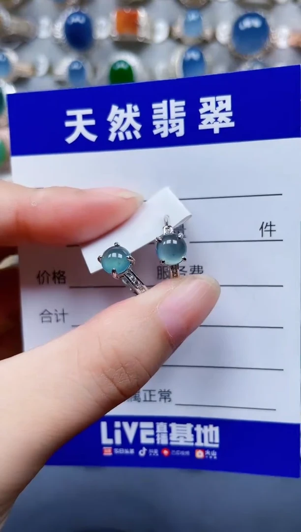 银S925镶嵌翡翠耳饰141