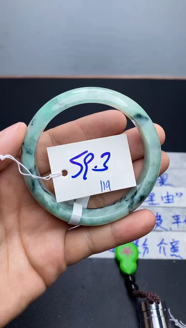 未镶嵌手镯翡翠119