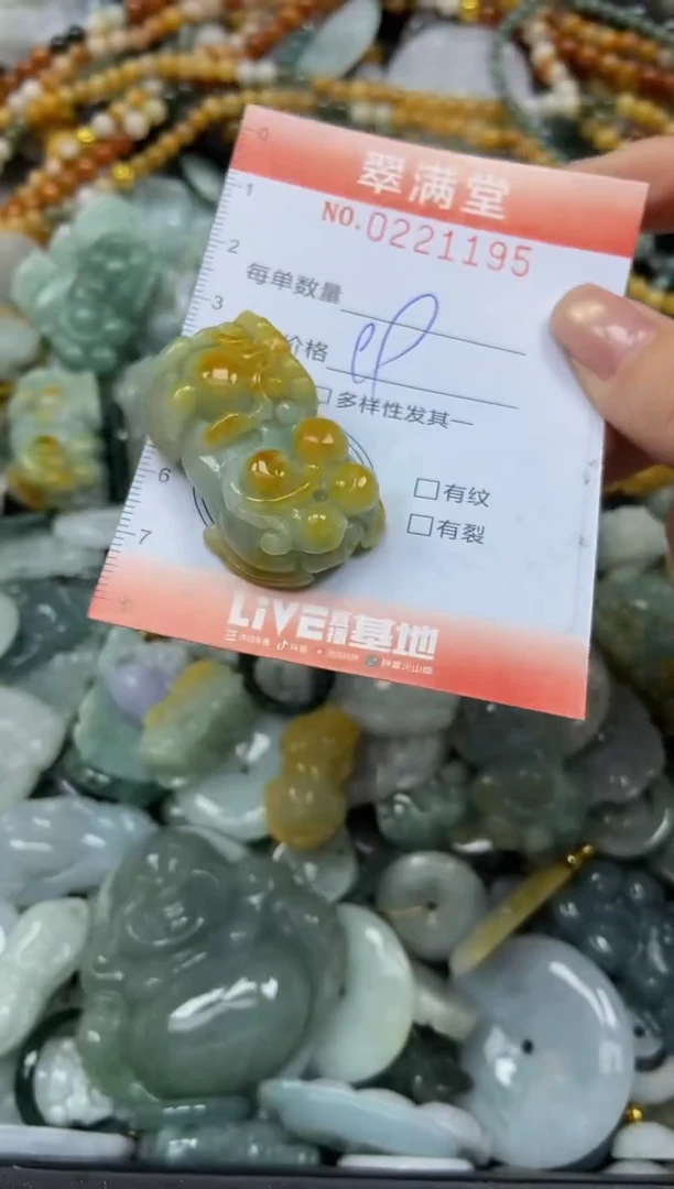 颈饰未镶嵌翡翠闪购0221195