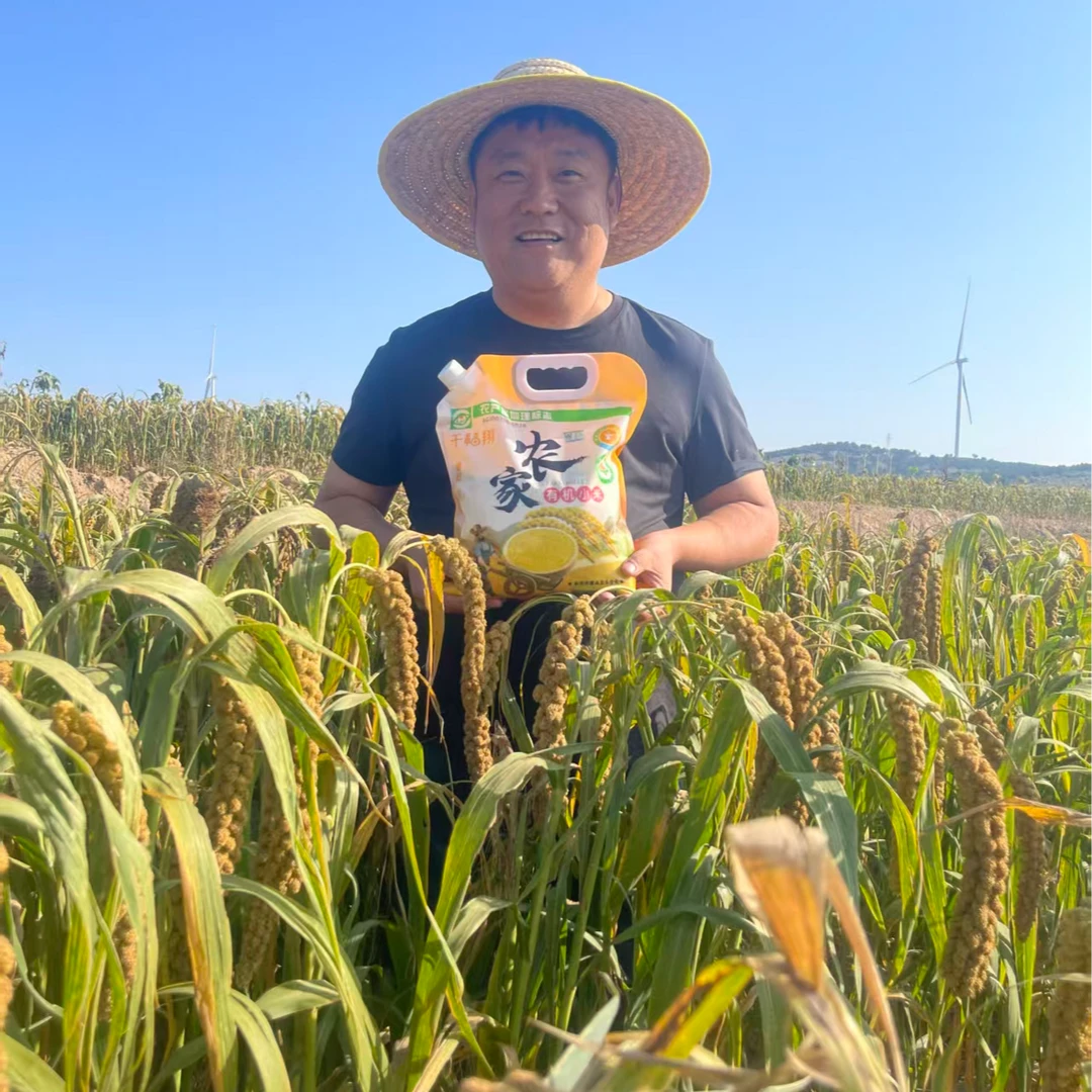 【丹亮专属】千福翔—2025年有机农家新黄小米2.5KG/袋