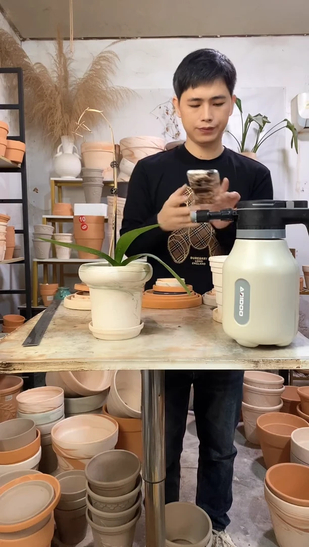 15*14绿白陶蘑菇 1盆1托