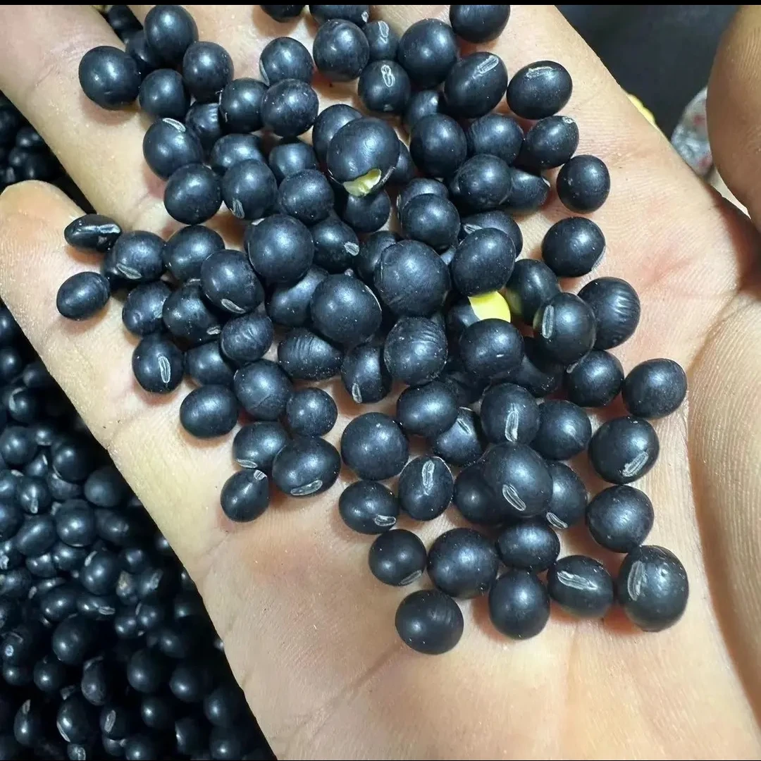 苏北特产  农家自种黑豆