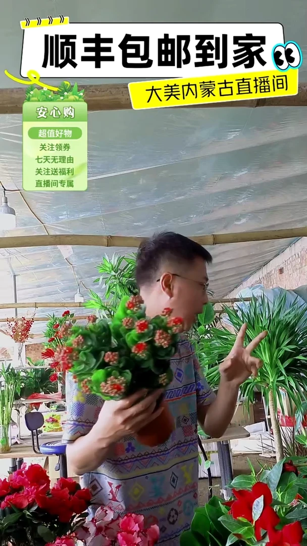 完全开放红色长寿