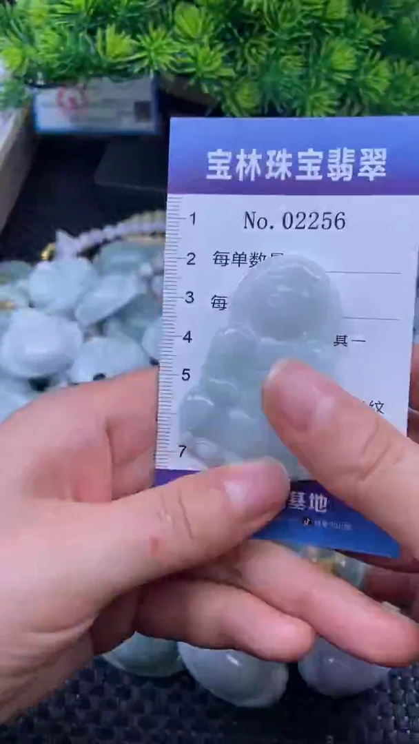 颈饰未镶嵌翡翠天然缅甸翡翠2256