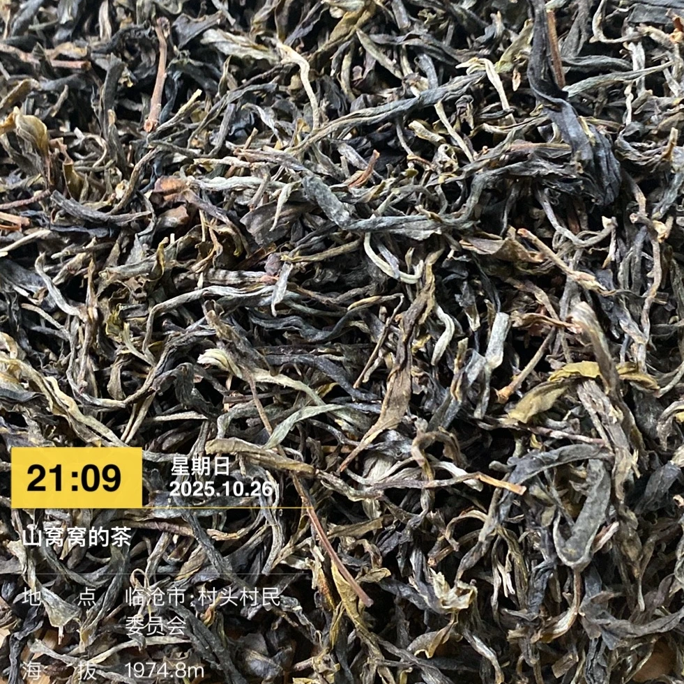 [山窝窝的茶叶]3102号2023黑森林单株生茶200g/袋