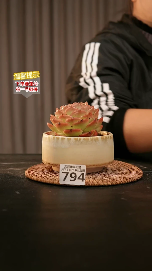 瓷片794内口径约10 外高约7