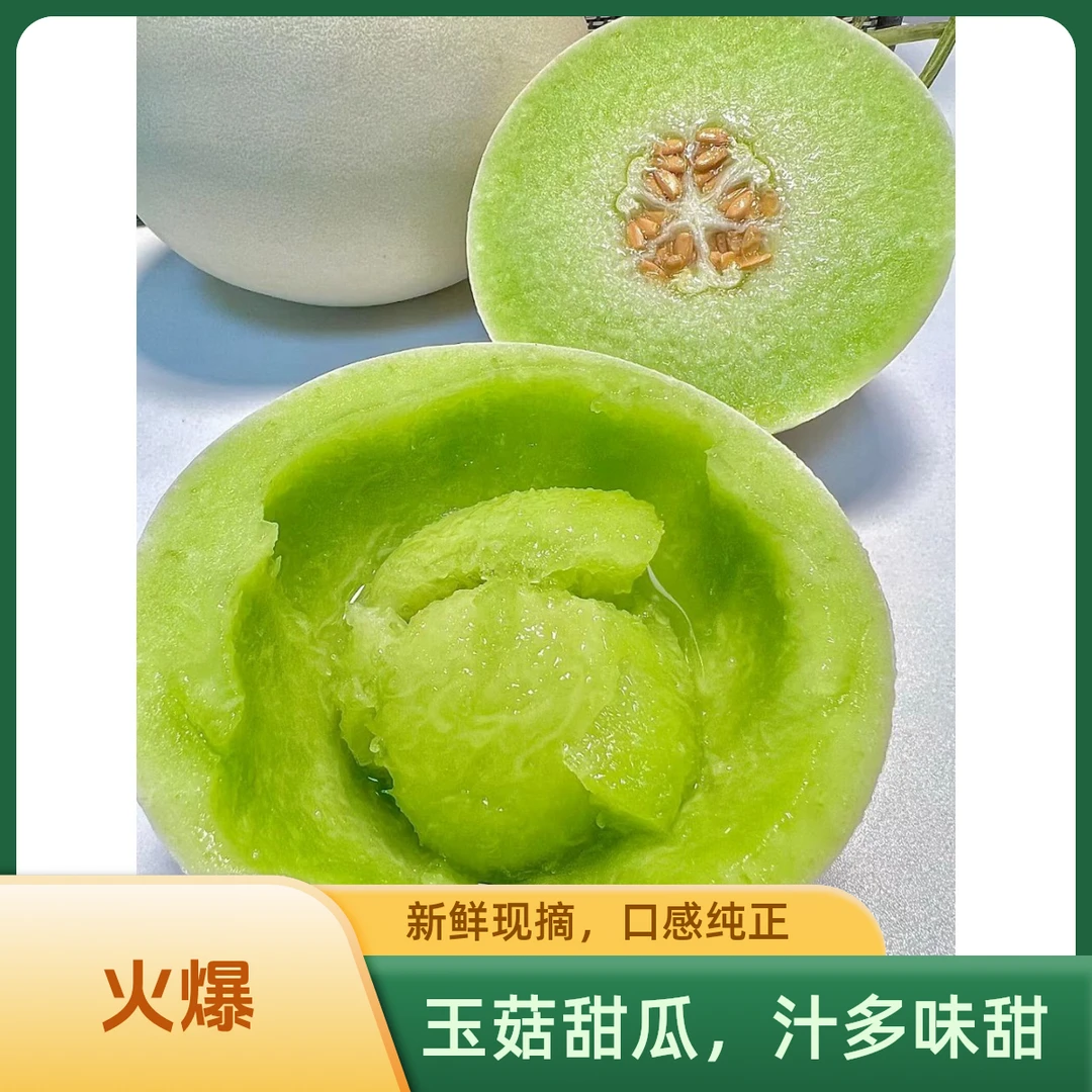 山东头茬 冰淇淋玉菇甜瓜 软糯香甜 低热量 新鲜蜜瓜 当季水果