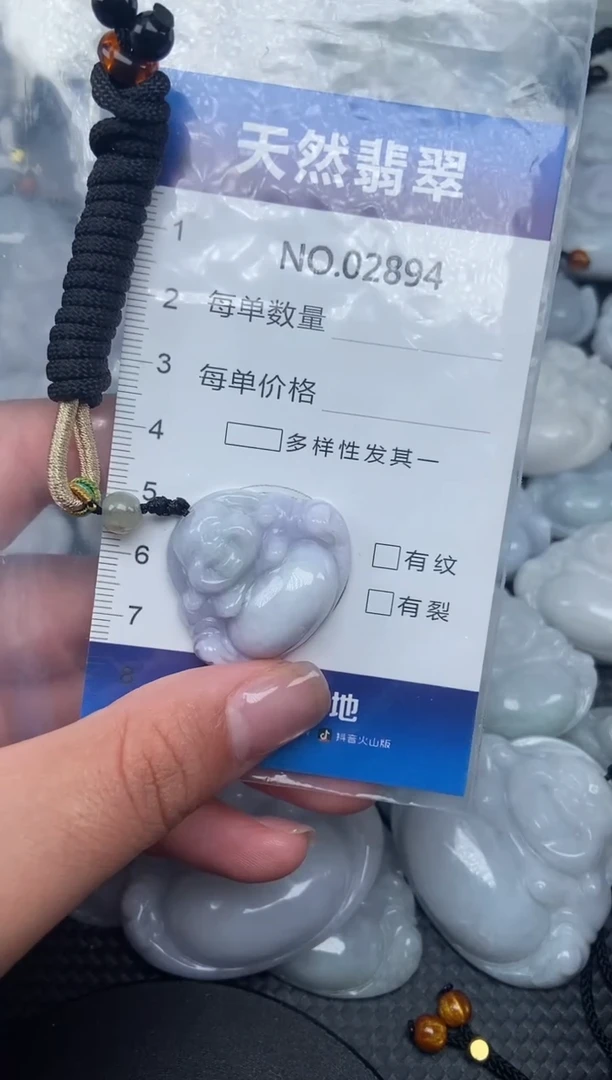 颈饰未镶嵌翡翠纯天然A货翡翠2894