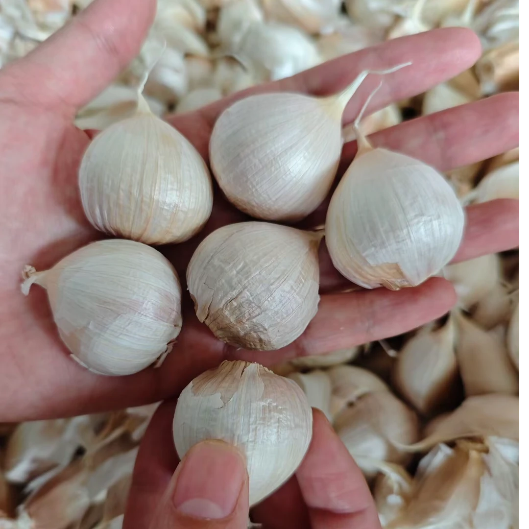 【苍山农家田园】苍山四六瓣大蒜瓣精选蒜瓣蒜味浓郁1斤/3斤/5斤