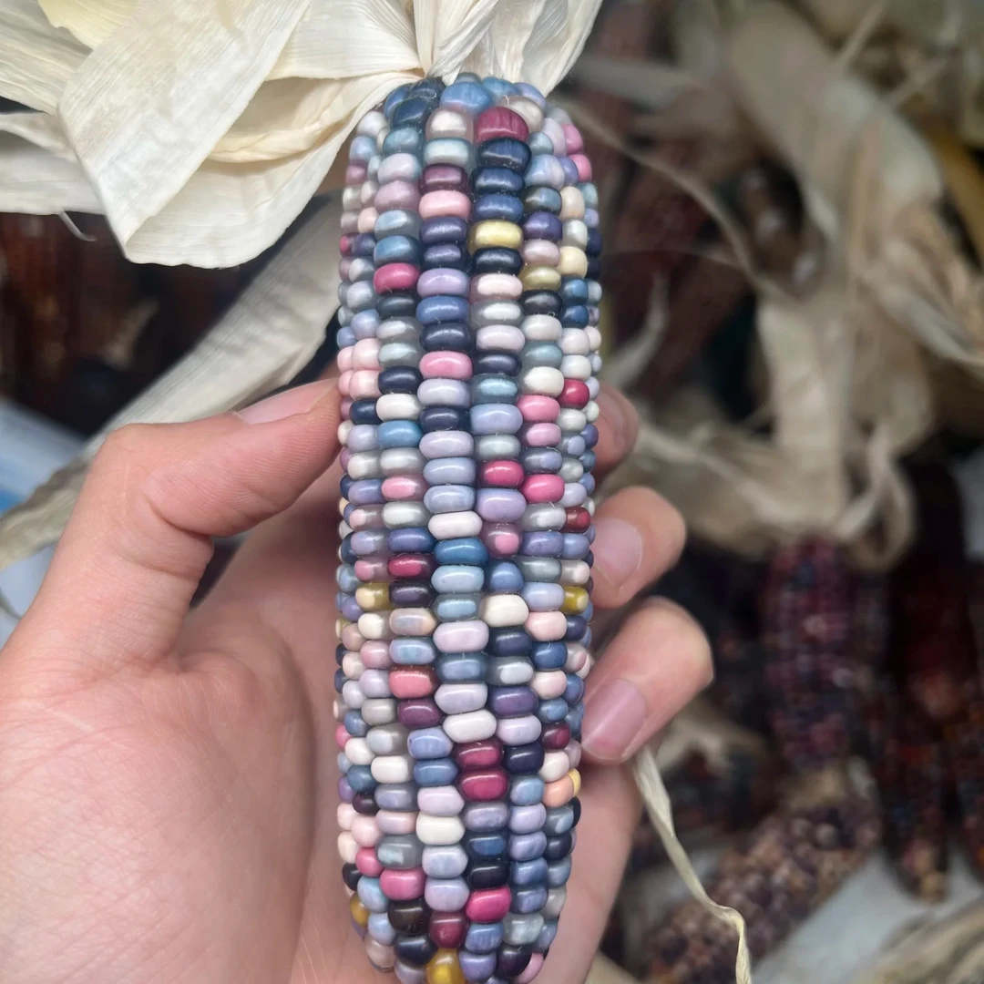 玉米直播间一物一拍