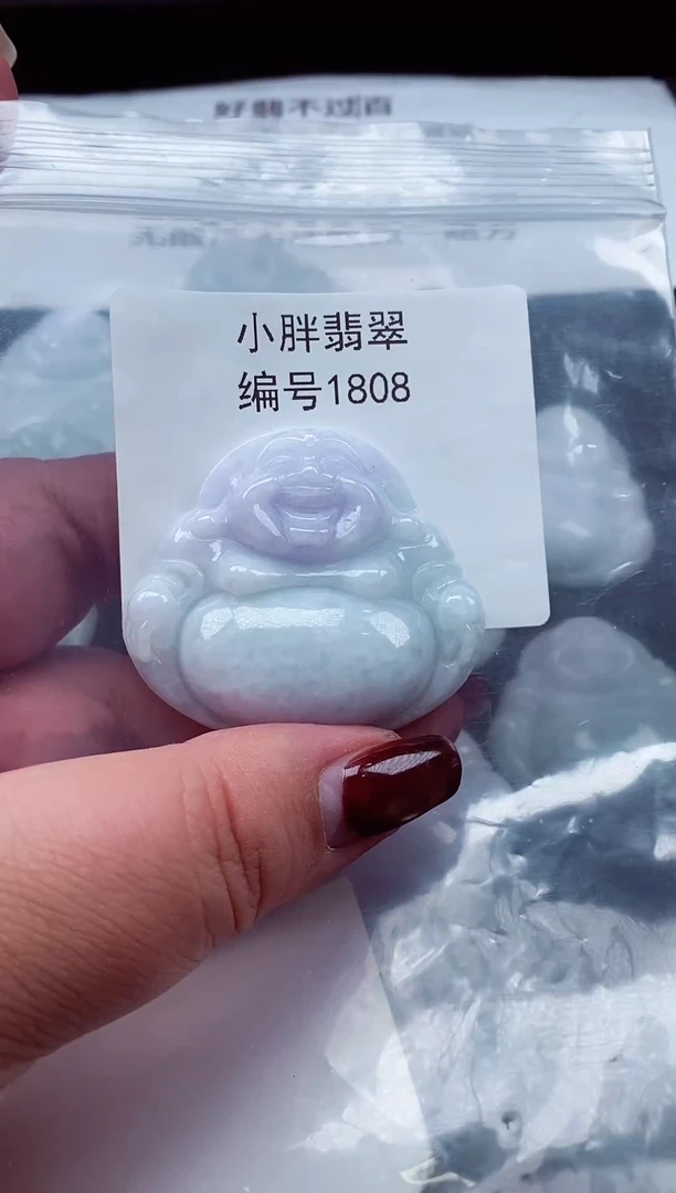 颈饰未镶嵌翡翠缅甸天然A货翡翠1808