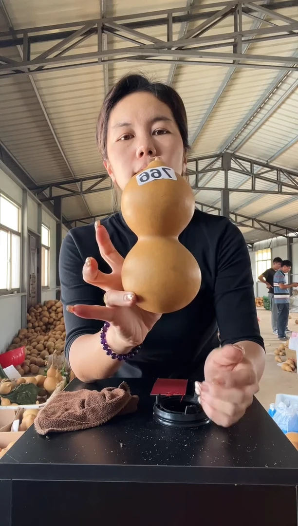 766天然葫芦摆件 一物一拍龙头不保售后