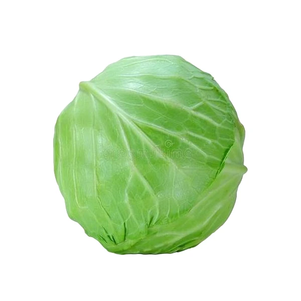 新鲜卷心菜 1000g甘蓝