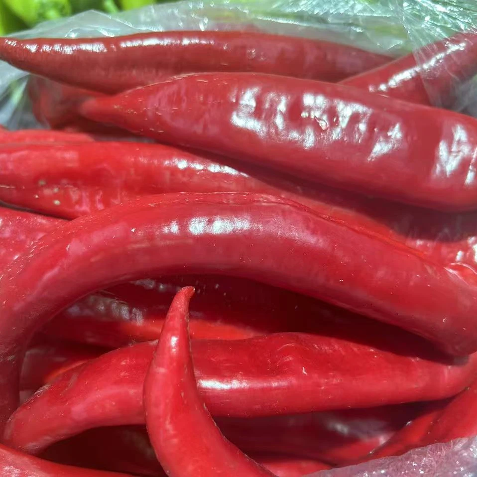 鲜红尖椒 辣椒1斤左右（蔬菜）