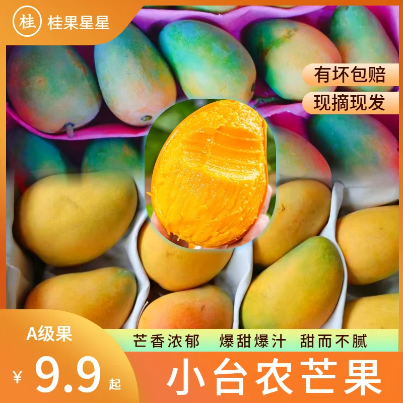 【香甜爆汁】农家自种小台农芒果 新鲜时令 热带水果 核薄肉厚