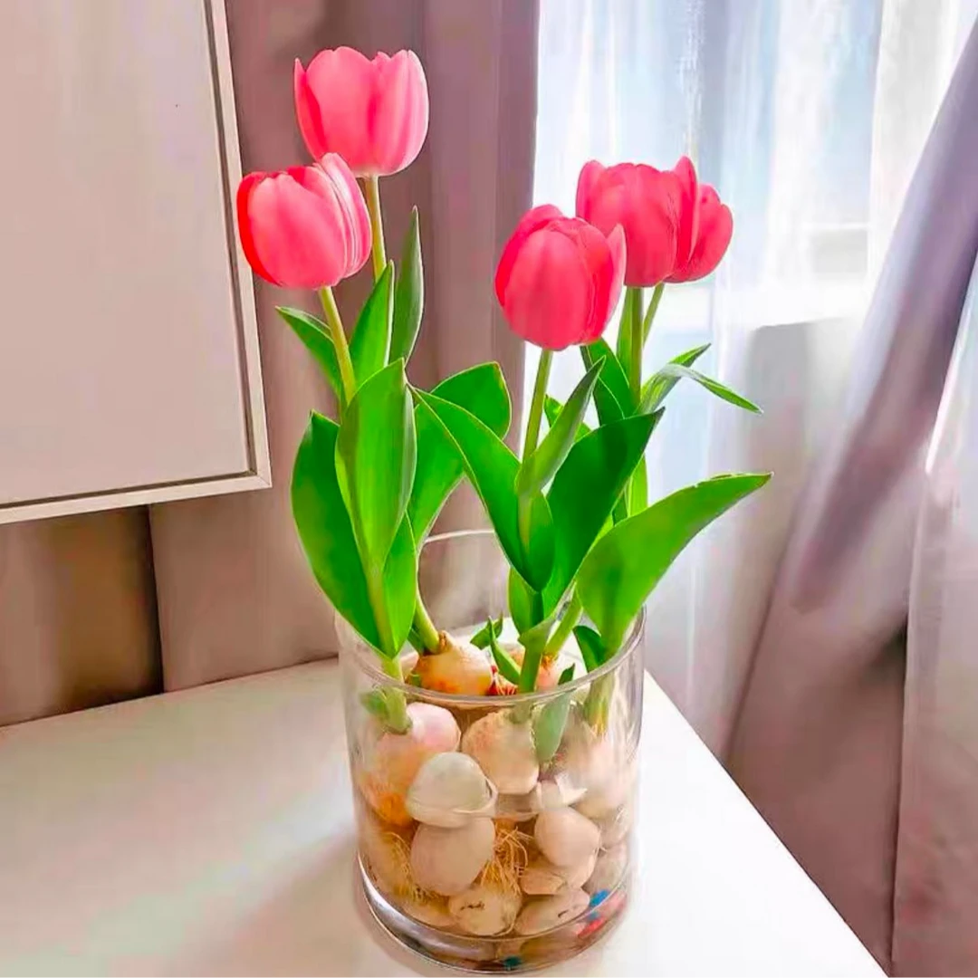 郁金香种球重瓣耐寒水培花卉盆栽植物花室内外花卉种球