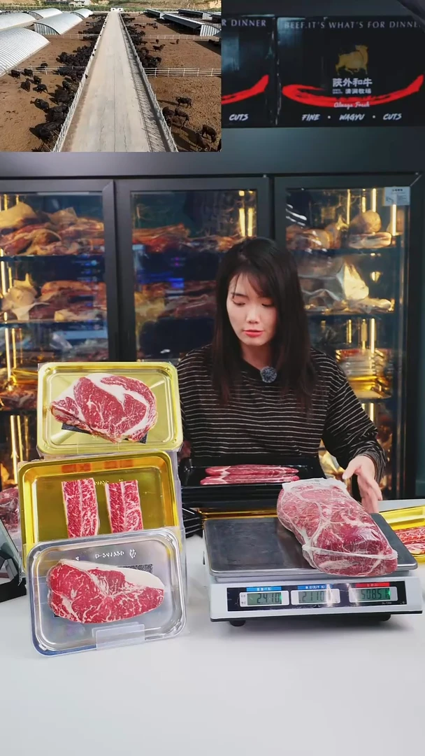 24个月中国大陆2.41KG A1板腱