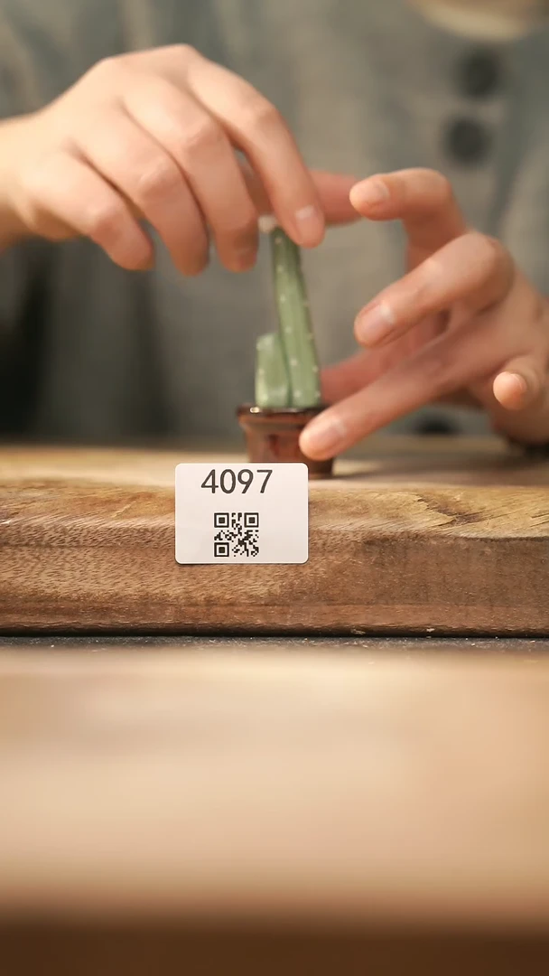 【闪购商品】【落单孤品】福利/摆件@@4097