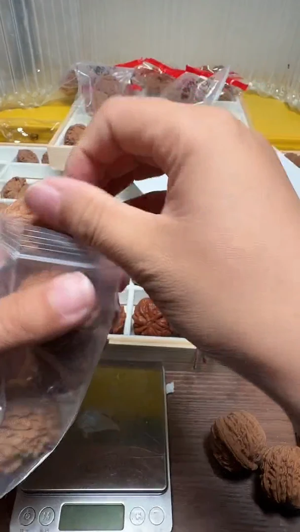 把件文玩核桃中*聚宝盆+蒜头（虫趴）