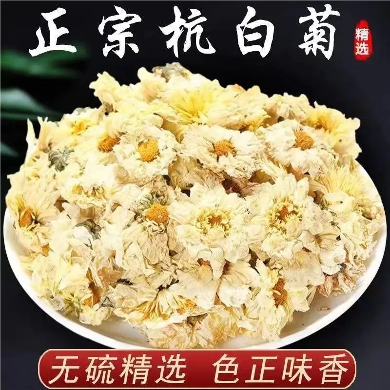 杭白菊白菊散装花茶