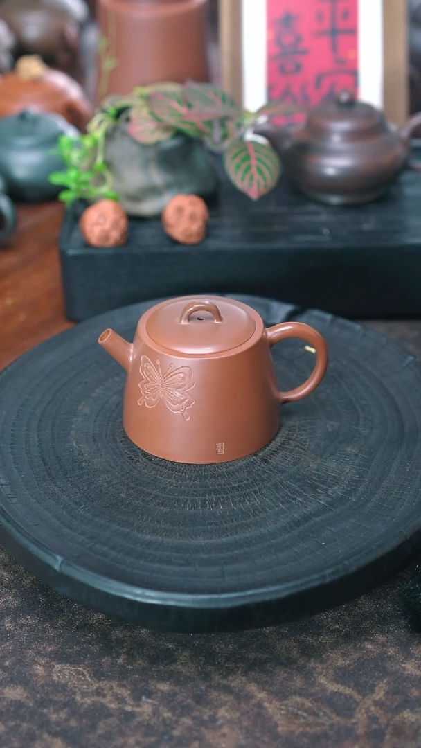 【闪购商品】翩翩起舞蝴蝶 秦方壶 140CC