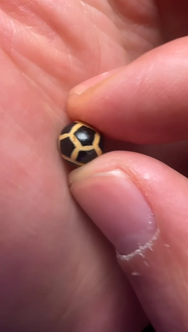 【闪购商品】玛瑙/玉髓颈饰未镶嵌珠改牙黄珠8mm