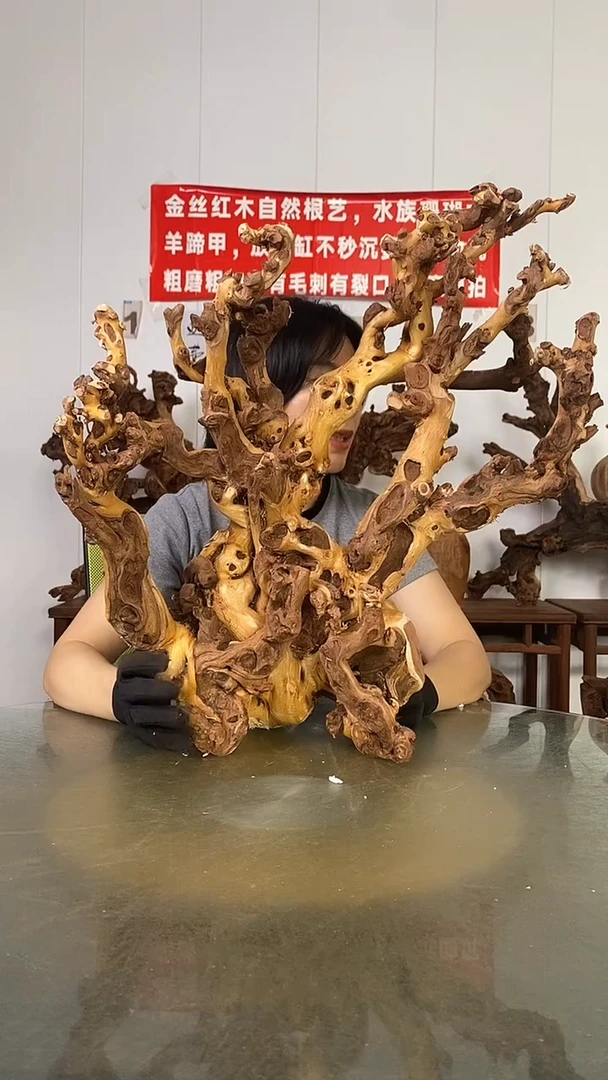 香榧木新****馆金丝红木   羊蹄甲