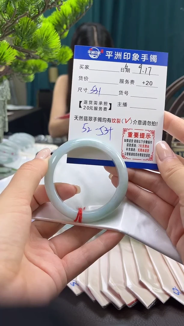 未镶嵌手镯翡翠(有鉴赏期)