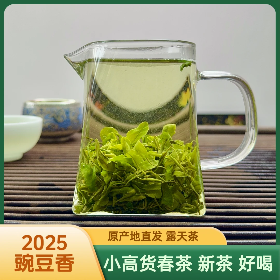 2025春茶【鲜嫩豌豆香】正宗日照绿茶露天春茶豌豆香小高货袋装好茶