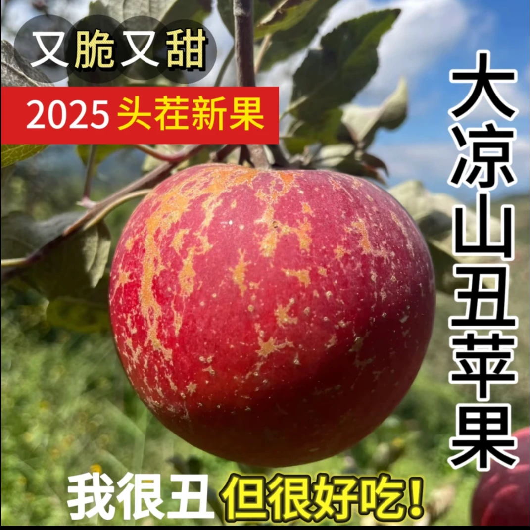 明日达【大凉山丑苹果】脆甜新鲜多汁当季水果整箱批发四川省M1四川省