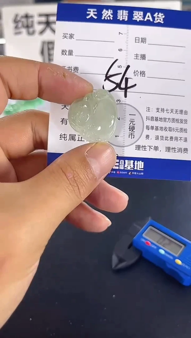 颈饰未镶嵌翡翠天然A货缅甸翡翠