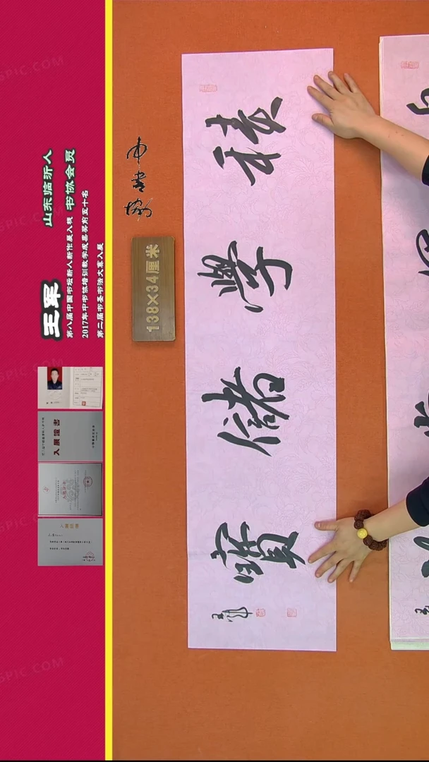 【闪购商品】书法206王军书法作品