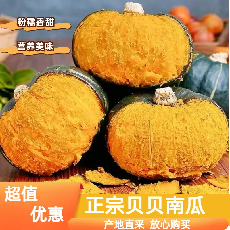 正宗贝贝南瓜【主播推荐】糯香板栗味宝宝辅食4.5-5斤4-7个果