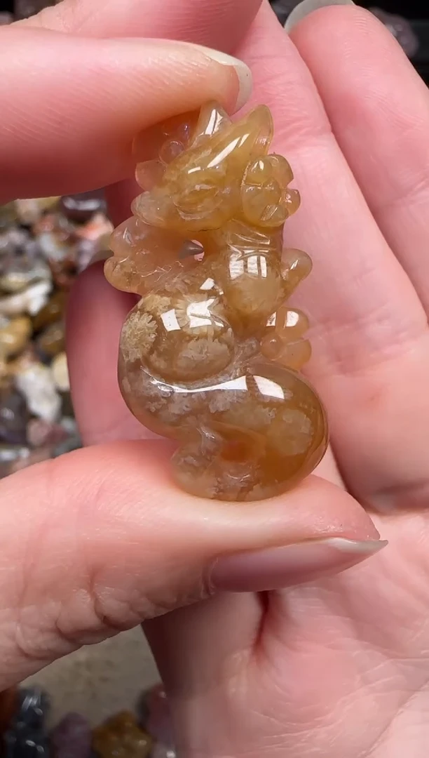 颈饰未镶嵌硅化珊瑚（珊瑚玉）782