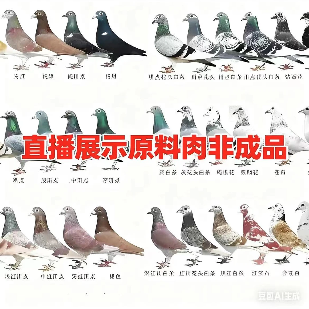 直播间 所见即所得成品种料定制  多样性发货