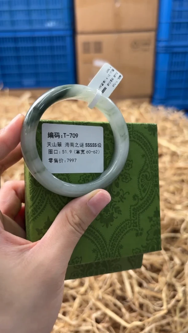 未镶嵌手镯石英质玉T-709